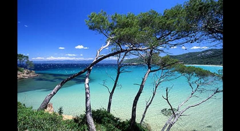 Petit Coin De Paradis Les Pieds Dans L'Eau 拉隆德莱丝莫里斯 外观 照片